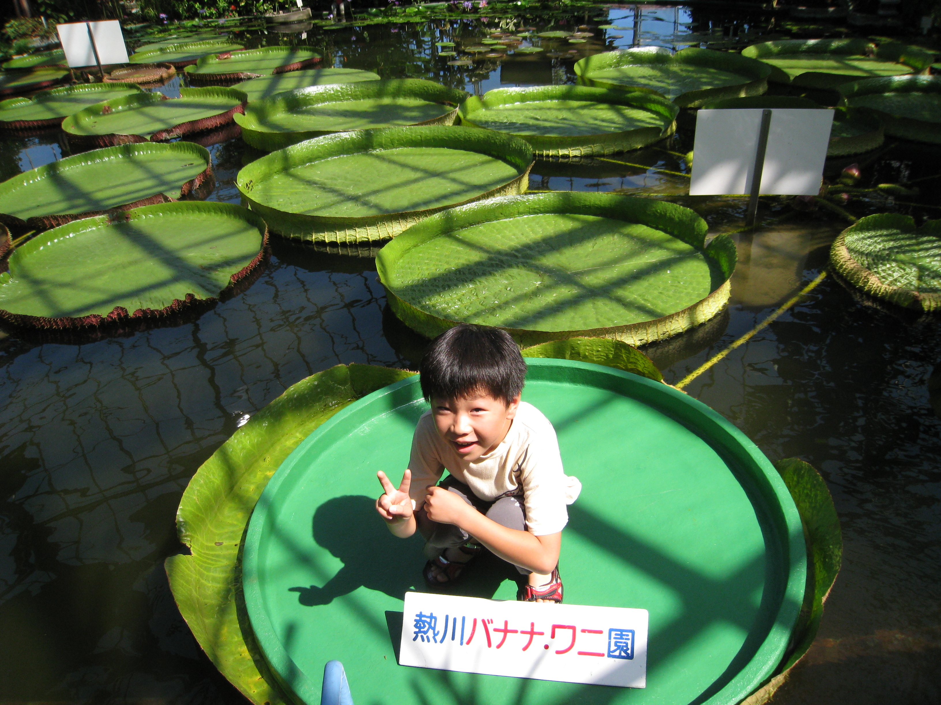 熱川バナナワニ園（静岡県） | オリジナル記念メダル・親子記念メダル収集