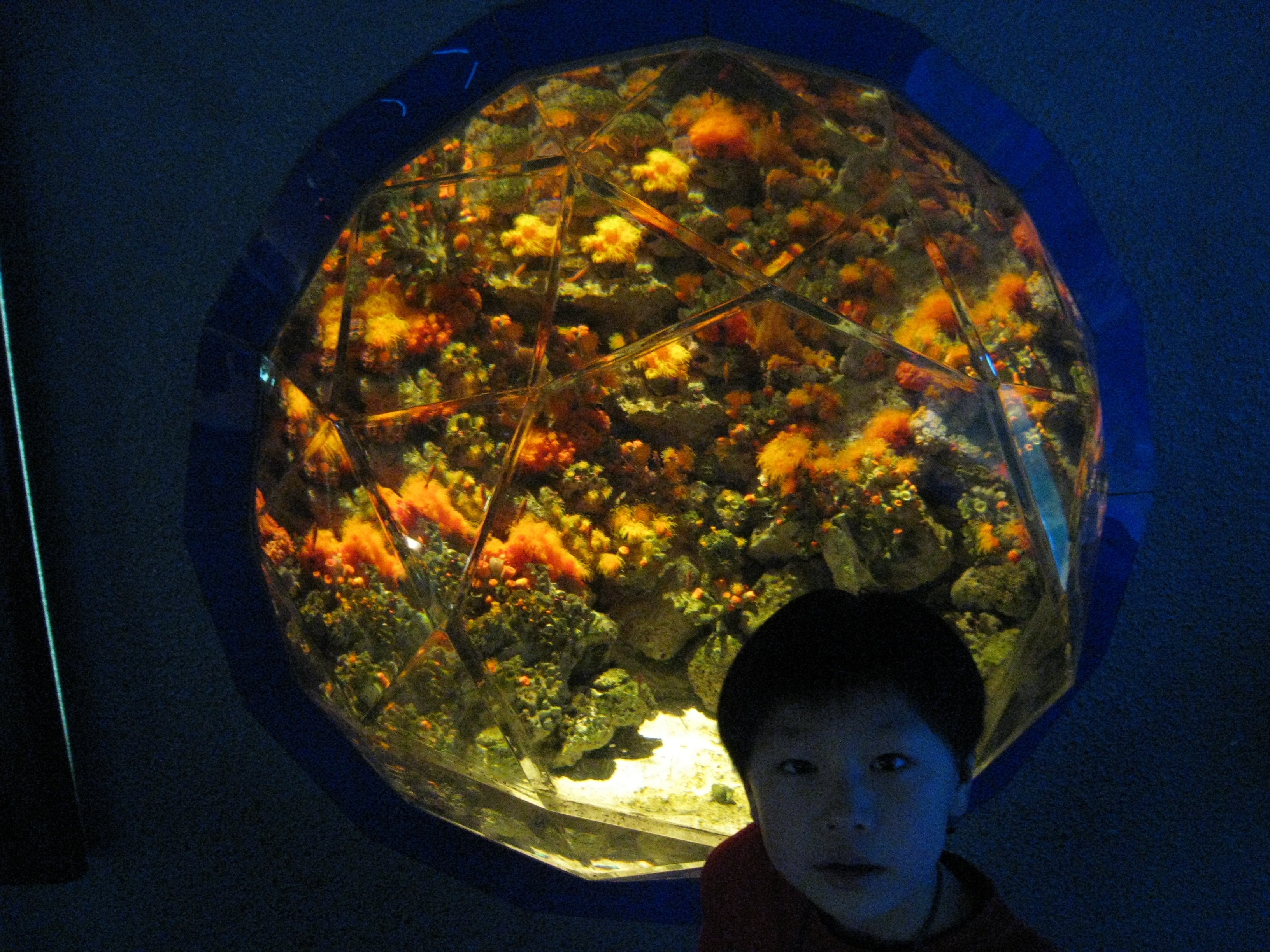 サンシャイン国際水族館（東京都） | オリジナル記念メダル