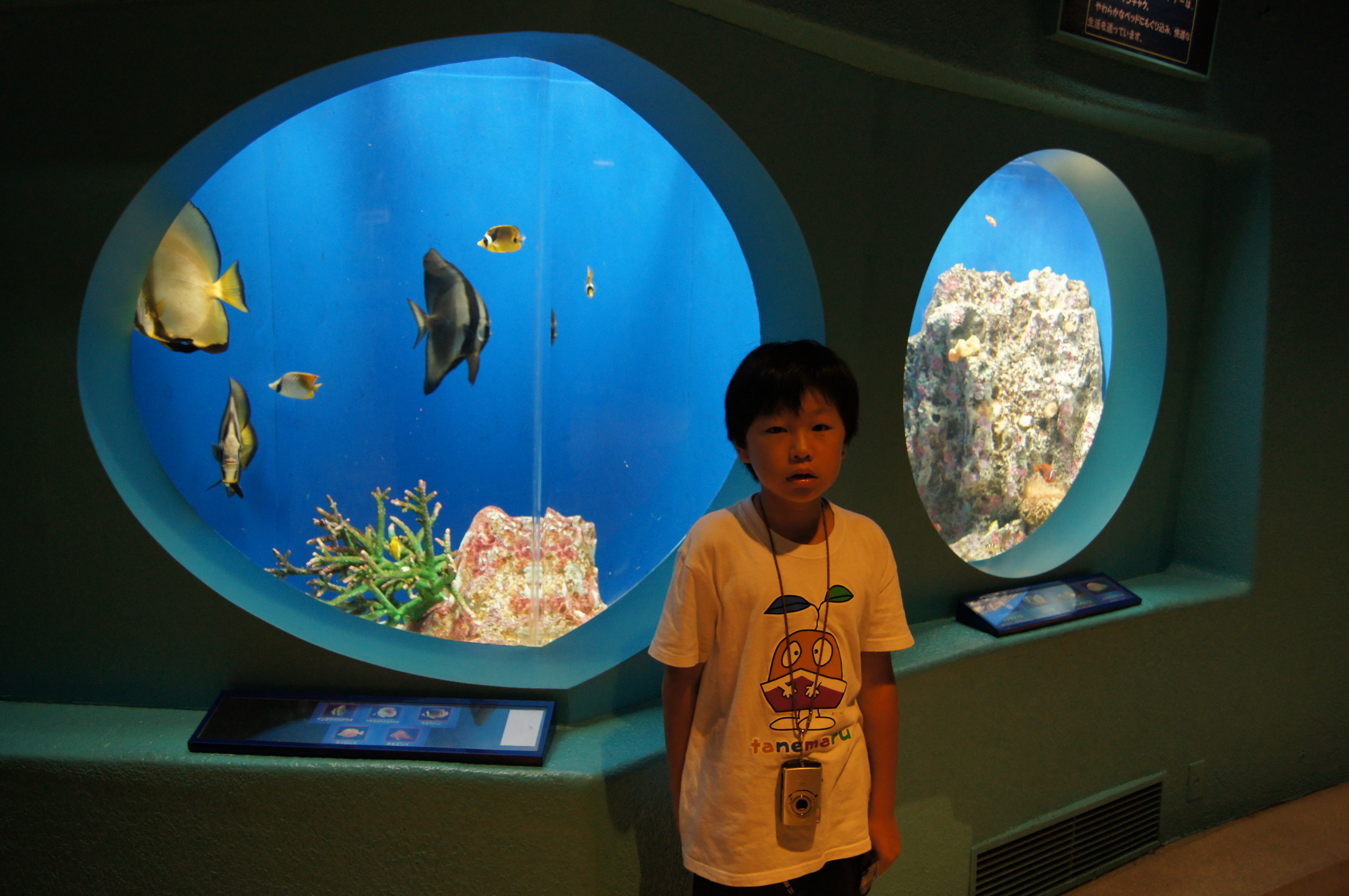 京急油壺マリンパーク（神奈川県） | オリジナル記念メダル・親子記念