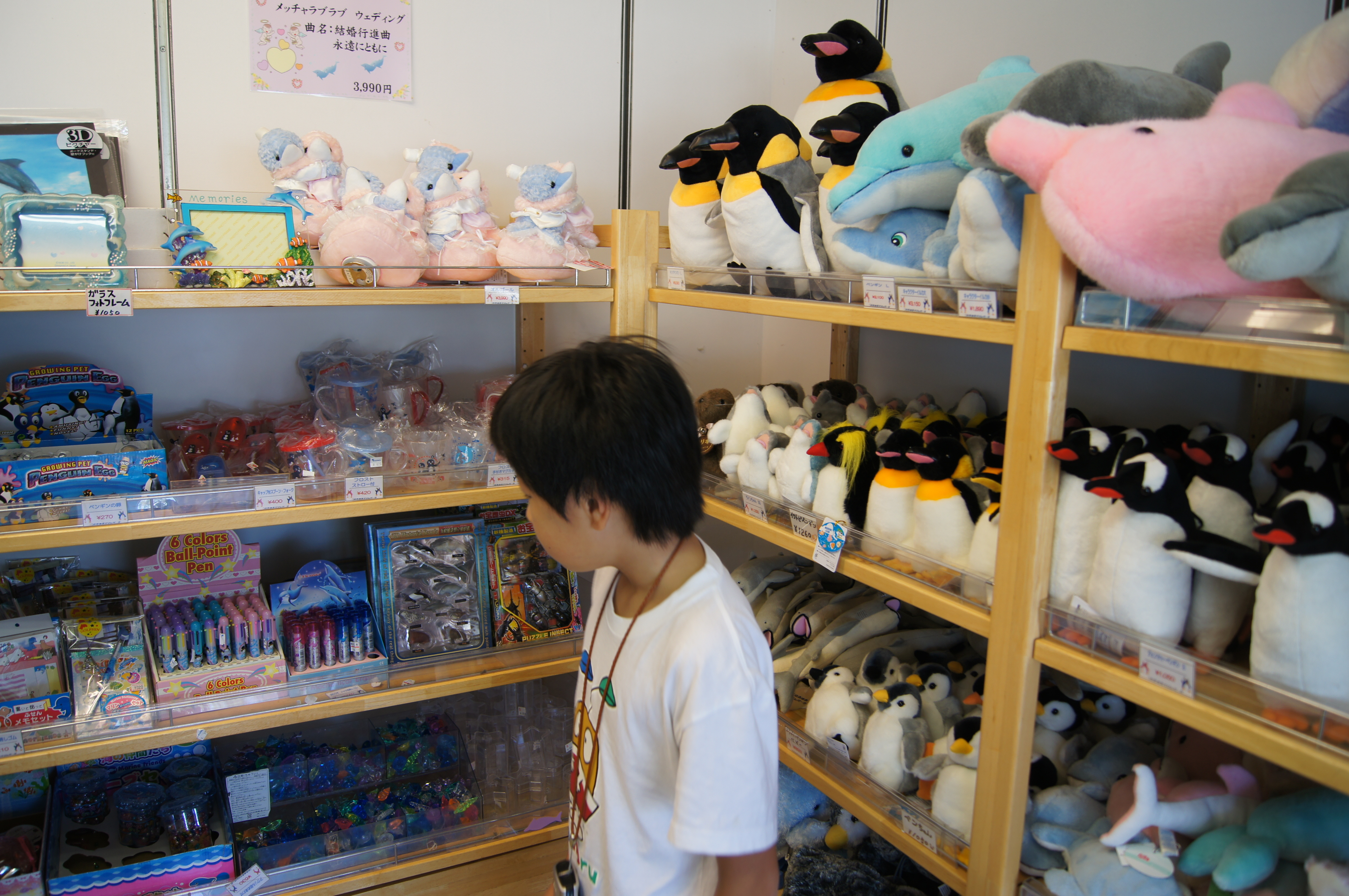 京急油壺マリンパーク（神奈川県） | オリジナル記念メダル・親子記念