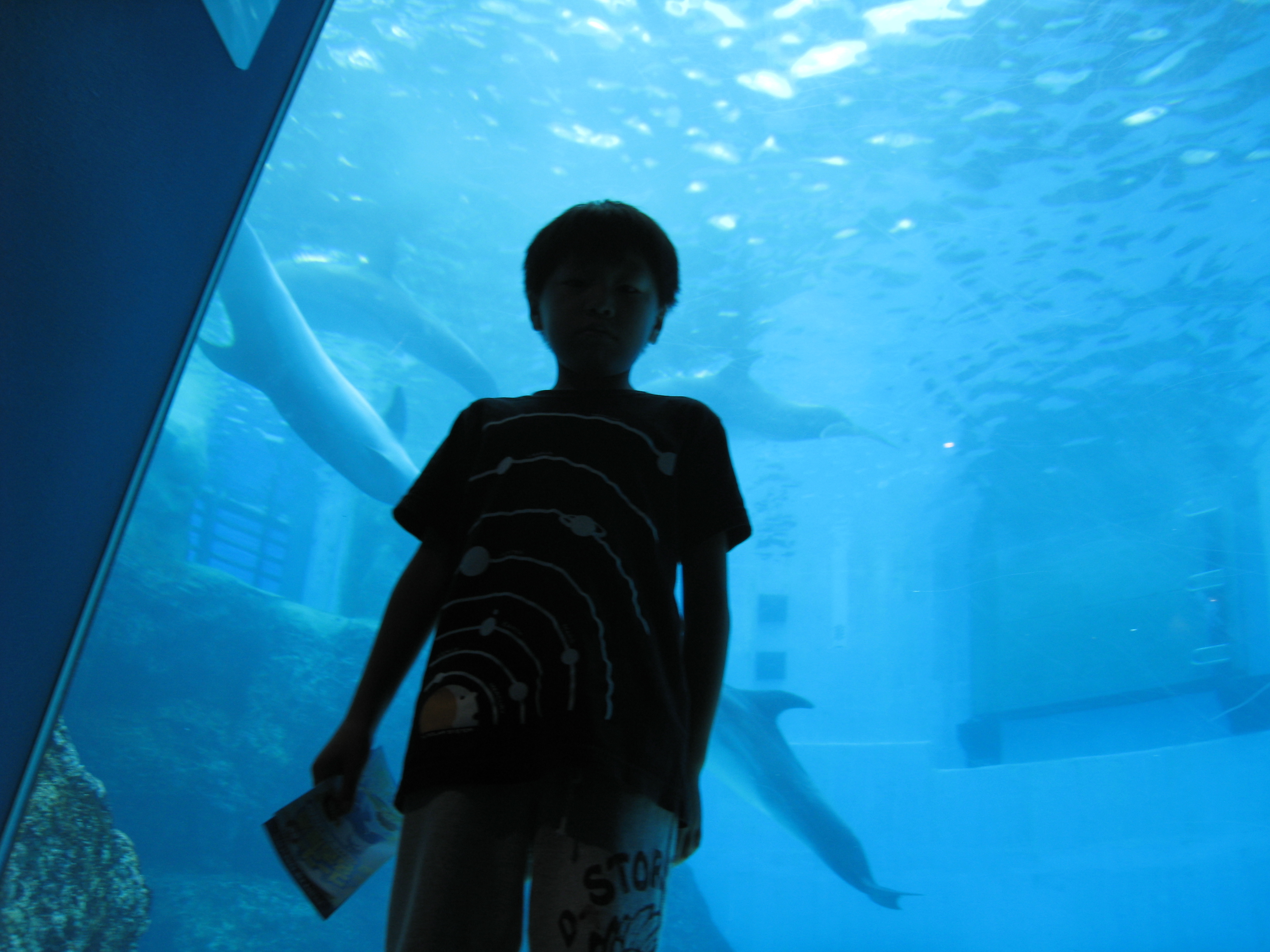 記念メダル　名古屋港水族館　イルカ(ピンク) 記念メダル 名古屋港水族館 イルカ(ピンク) 愛知県【名古屋港