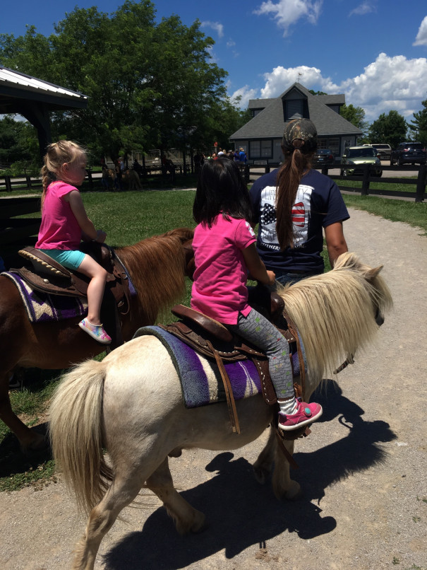 Kentucky Horse Park Maysville Life