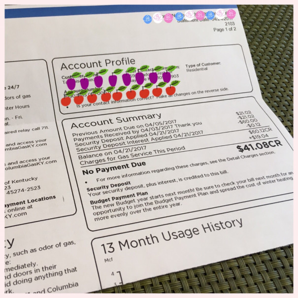 ガス 電気 Maysville Life