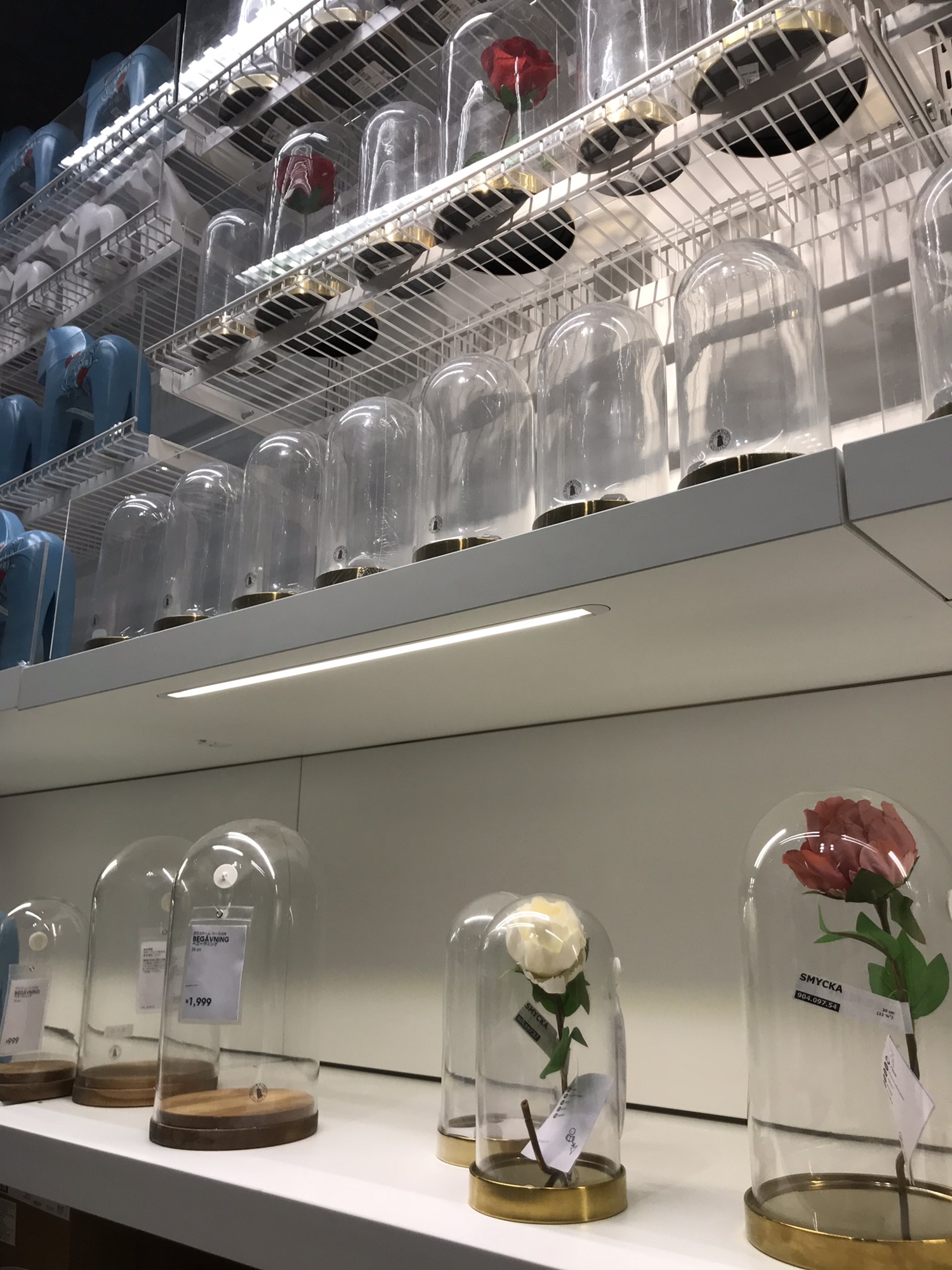 IKEA ガラスドーム ガラスケース | eesppsantarosacusco.edu.pe