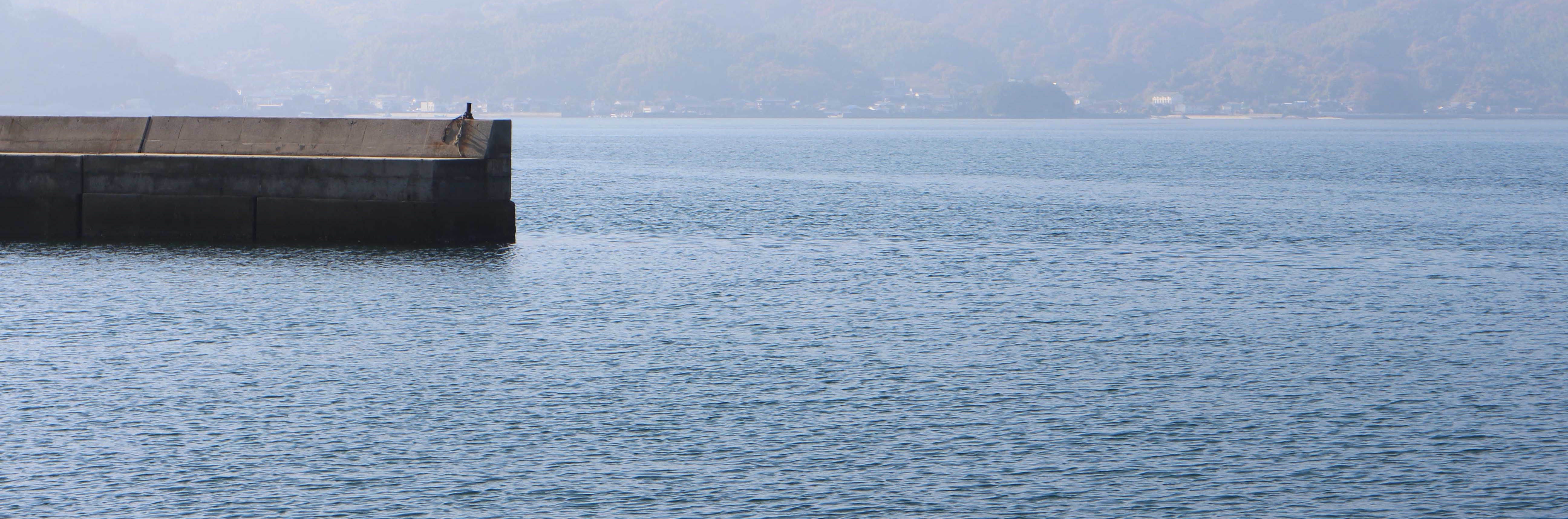 メバリングで見落としがちなポイント〜メバル狙いの穴場はこんなに身近