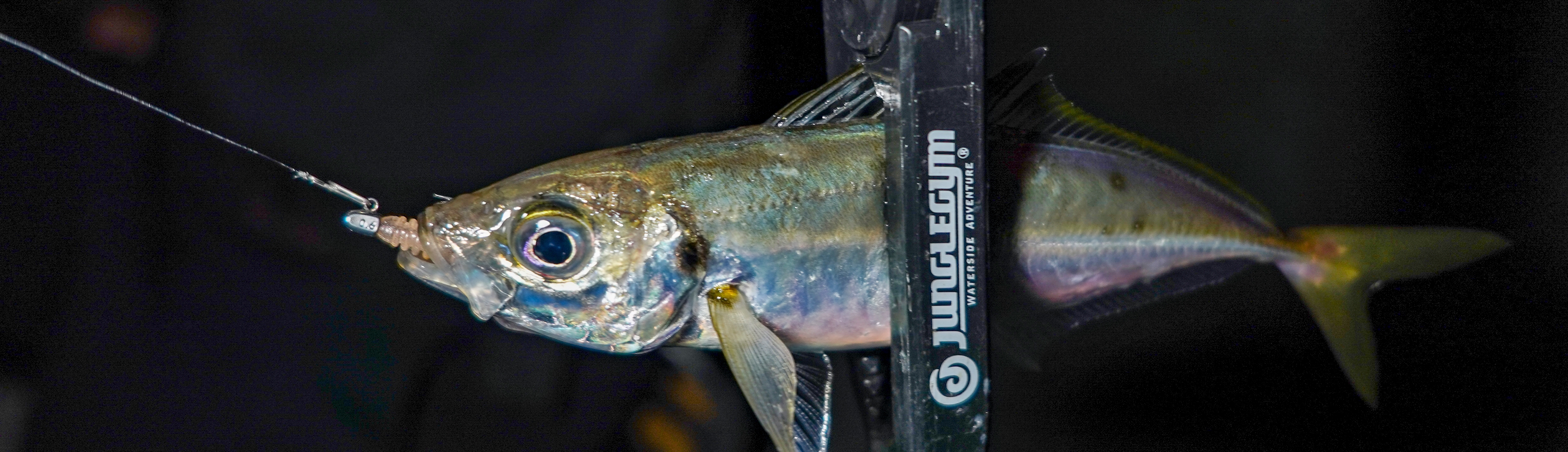 293075df7f32285150ee5454fae3f4