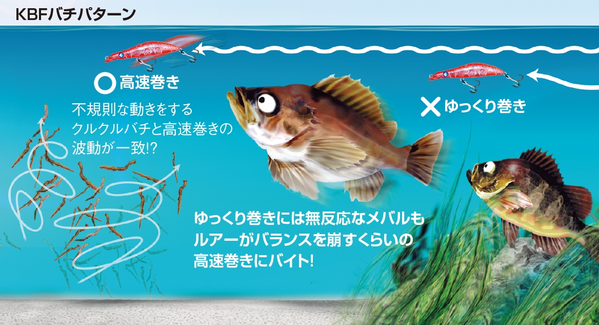 メバリングプラグ！ 〜日本海の激戦区で培われたノウハウが凝縮