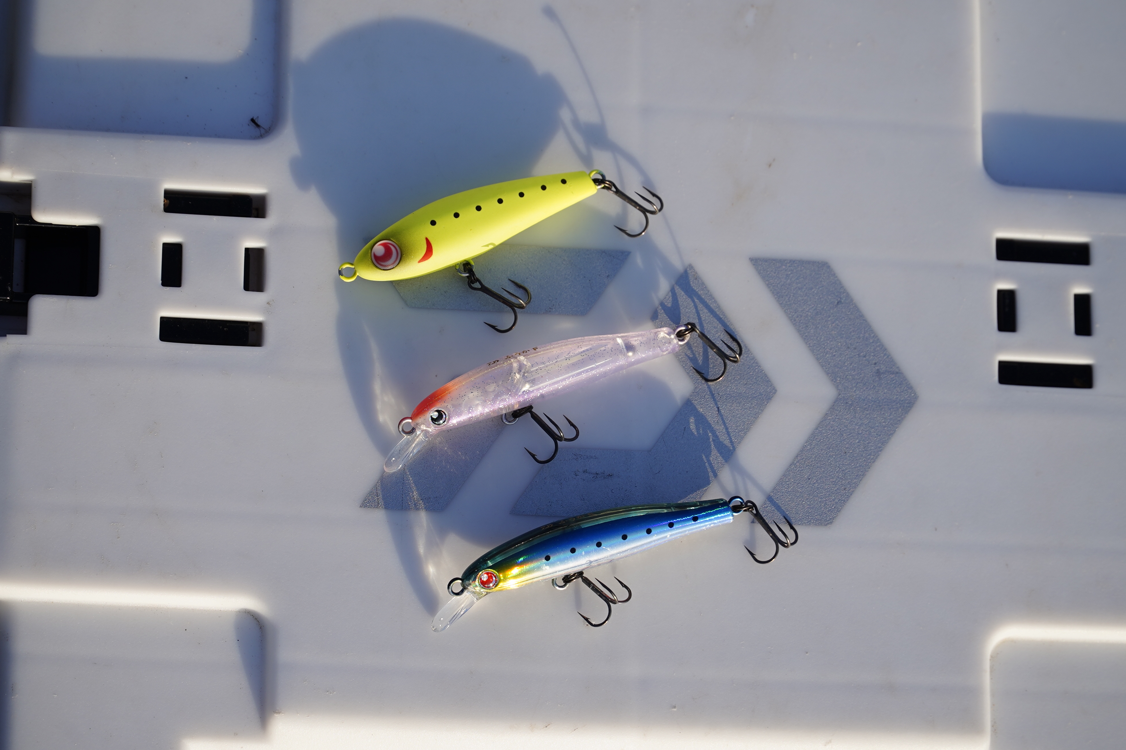 表層でかメバル戦略／デイもナイトも水面がメインステージだ