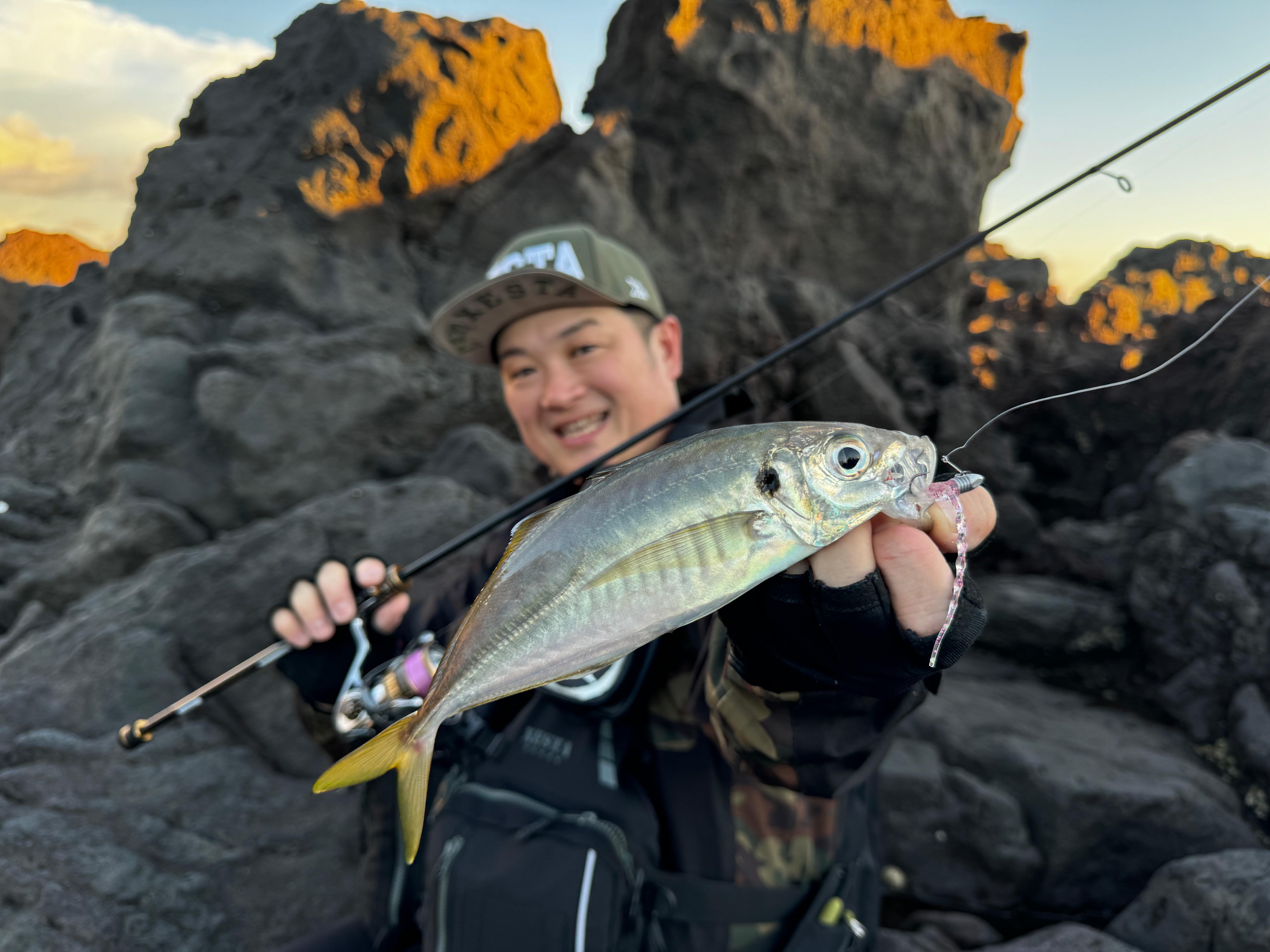フィッシャーマン様 アジ メバル テイルウォーク （メバルの釣果