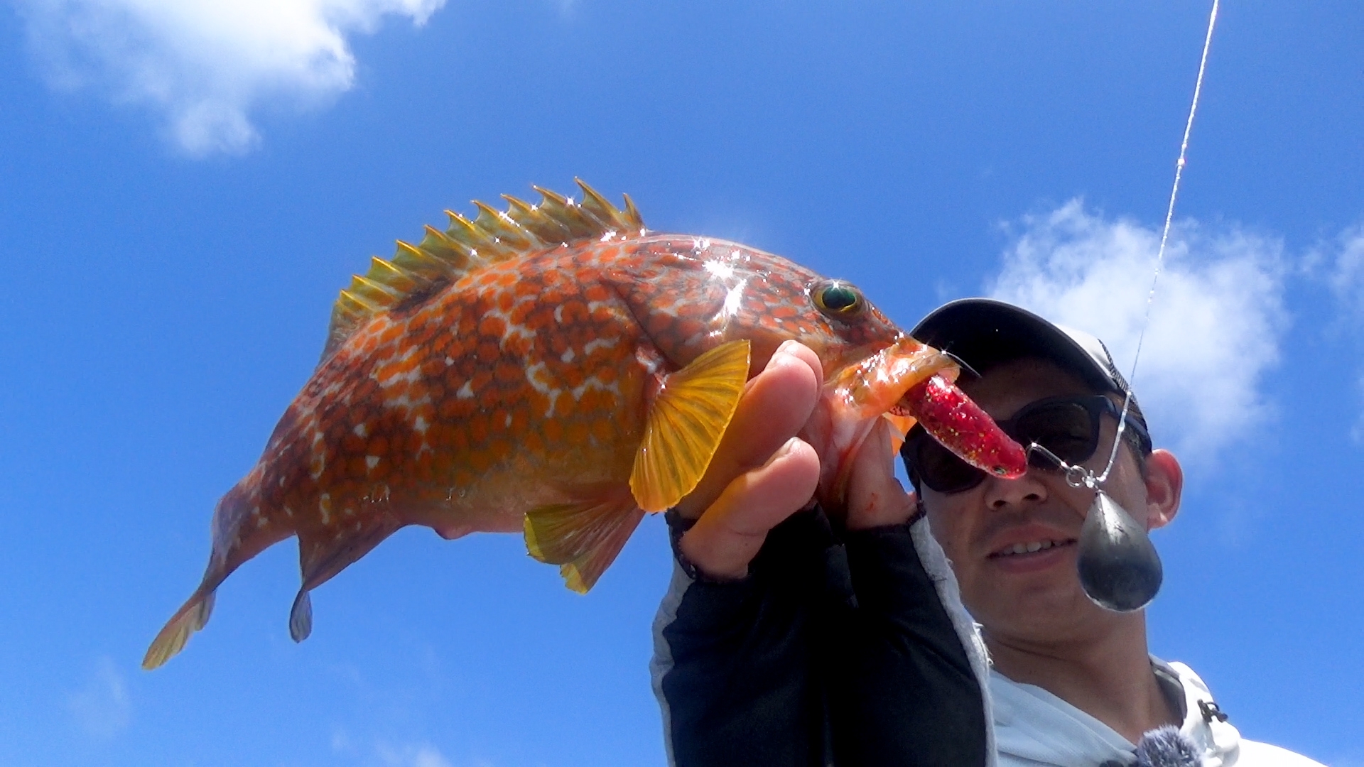 DAIWA × WACKO MARIA／SETUPPER LIMITED EDITION | anglingnet アング