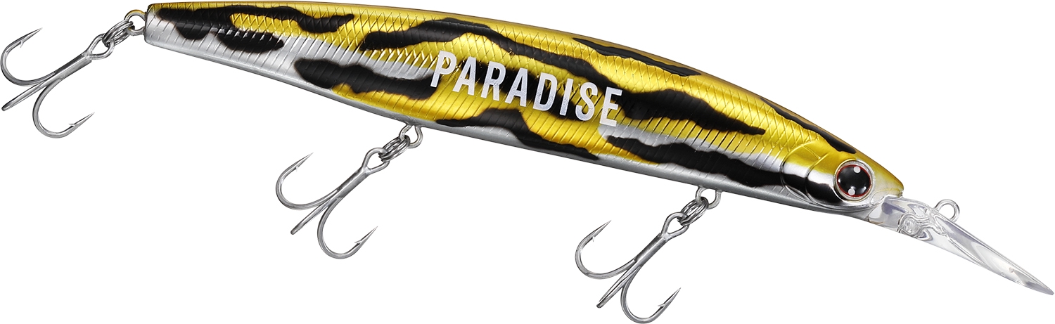 DAIWA × WACKO MARIA／SETUPPER LIMITED EDITION | anglingnet アング