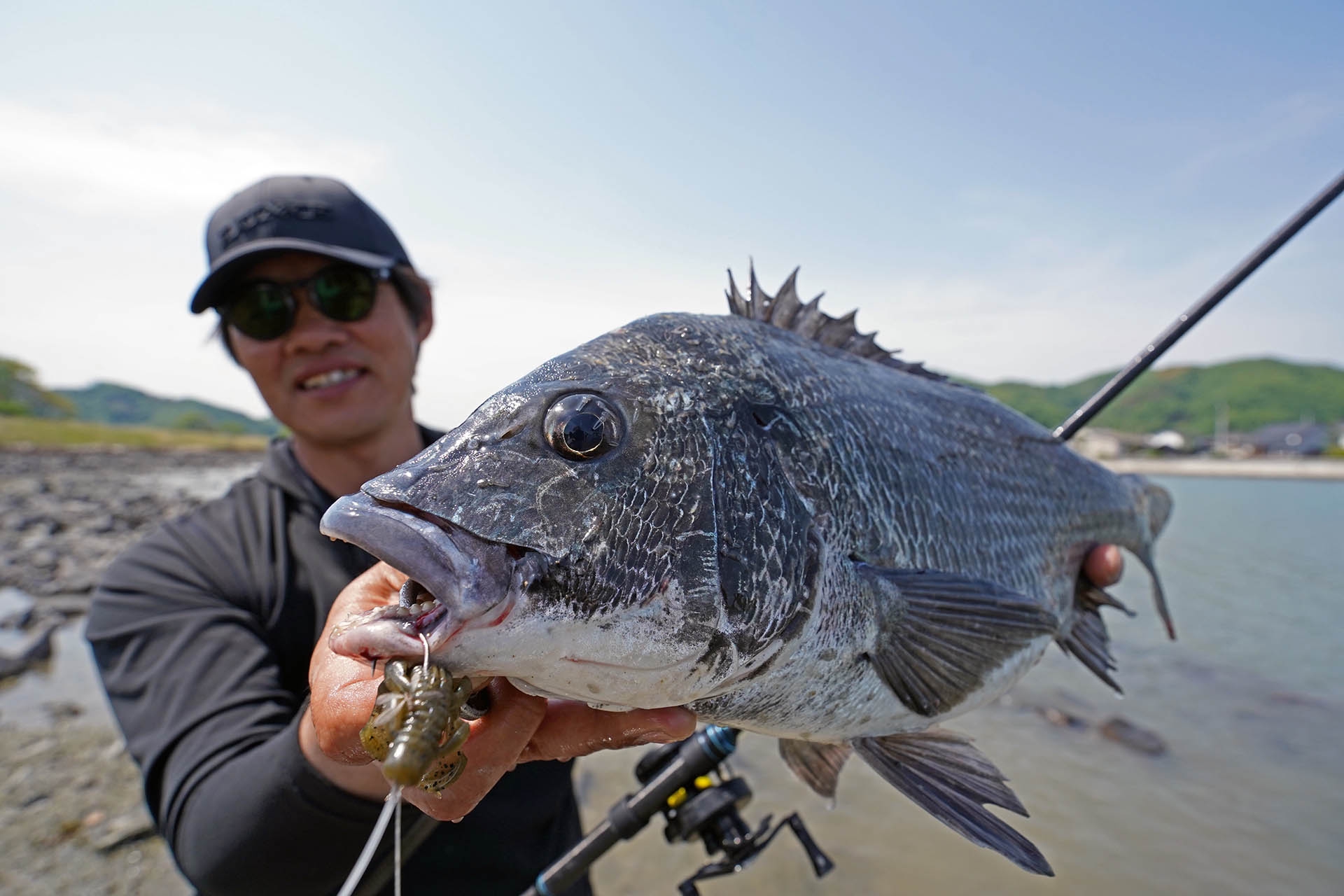 寧音にオカッパリチニングに最適解となる寧音B77H-solidが新たに登場