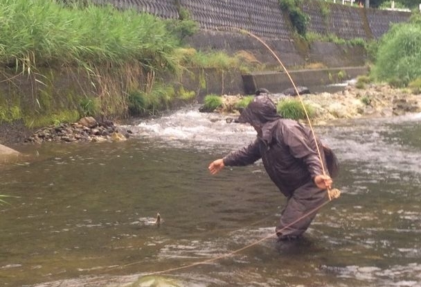 バンブーロッド取扱いの注意点 | 鱒幸