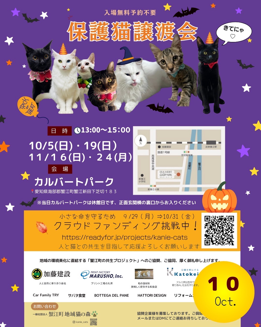 10月・11月譲渡会のお知らせ🐾 | 蟹江町地域猫の森