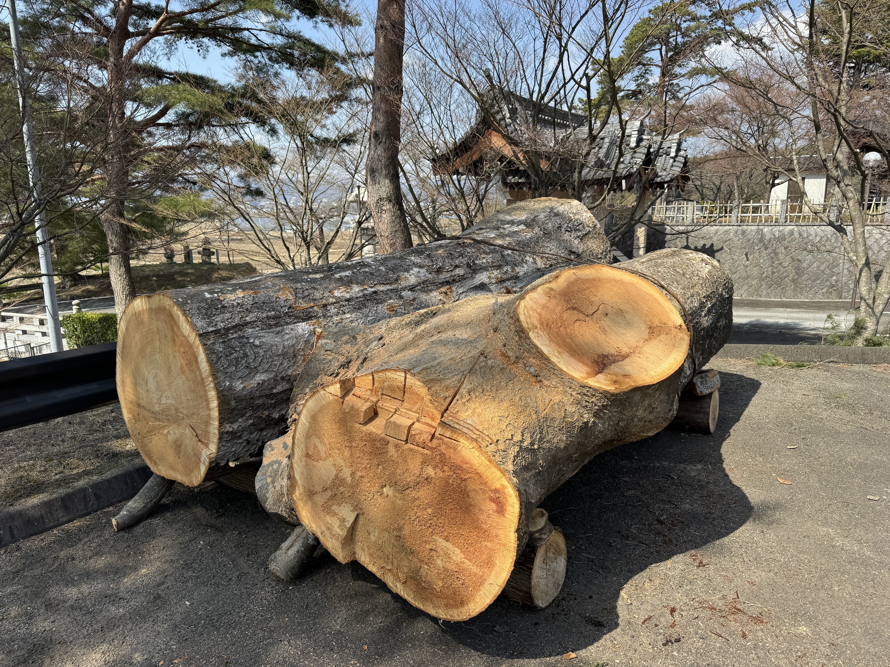 樹齢約200年のケヤキの大木の供養 | antouin's Ownd