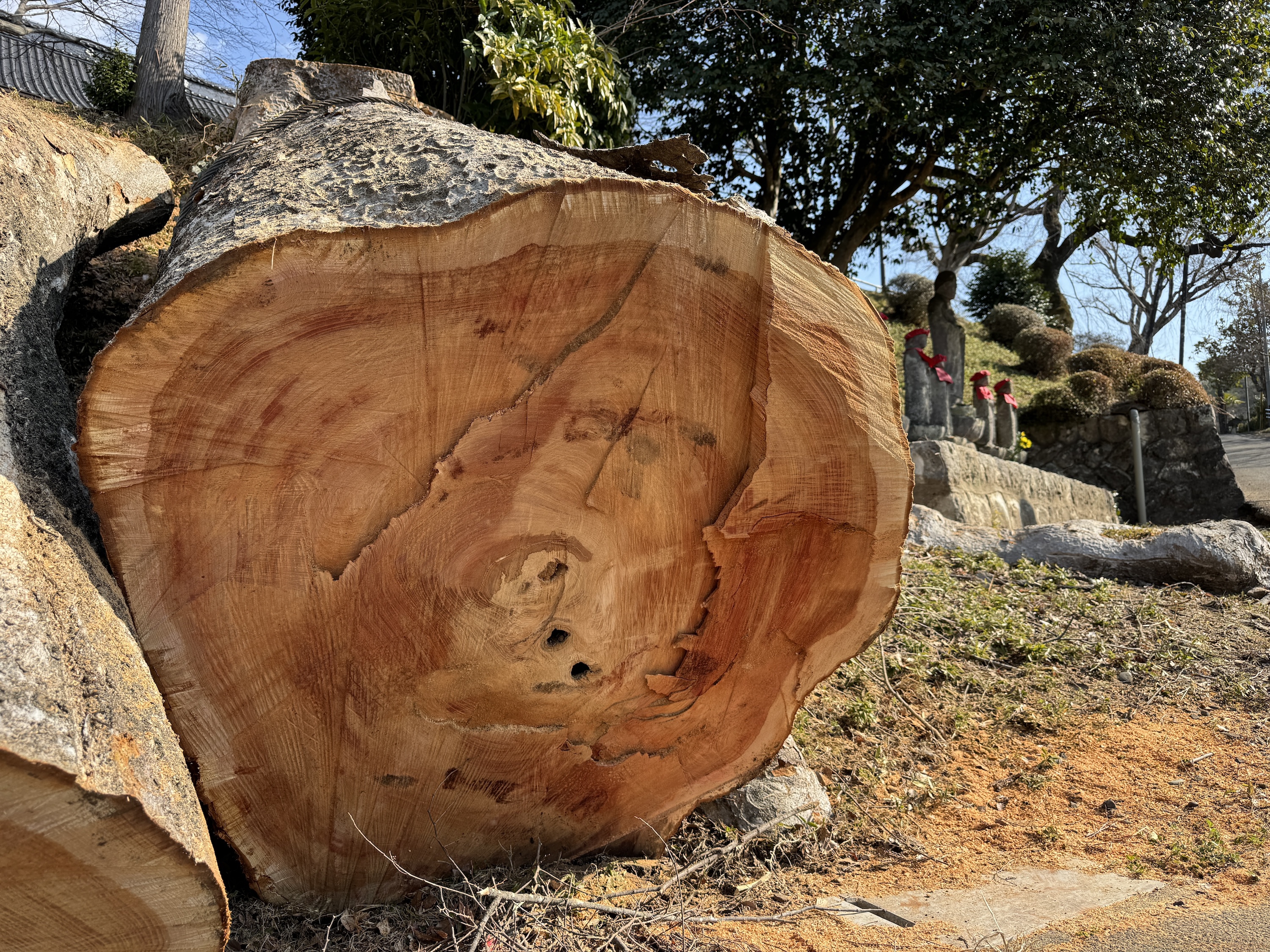 樹齢約200年のケヤキの大木の供養 | antouin's Ownd