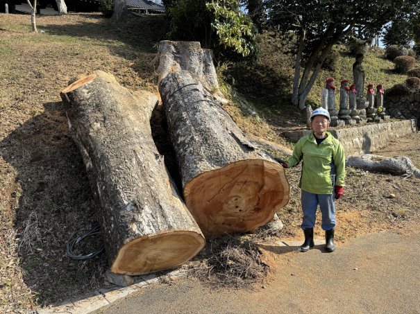 樹齢約200年のケヤキの大木の供養 | antouin