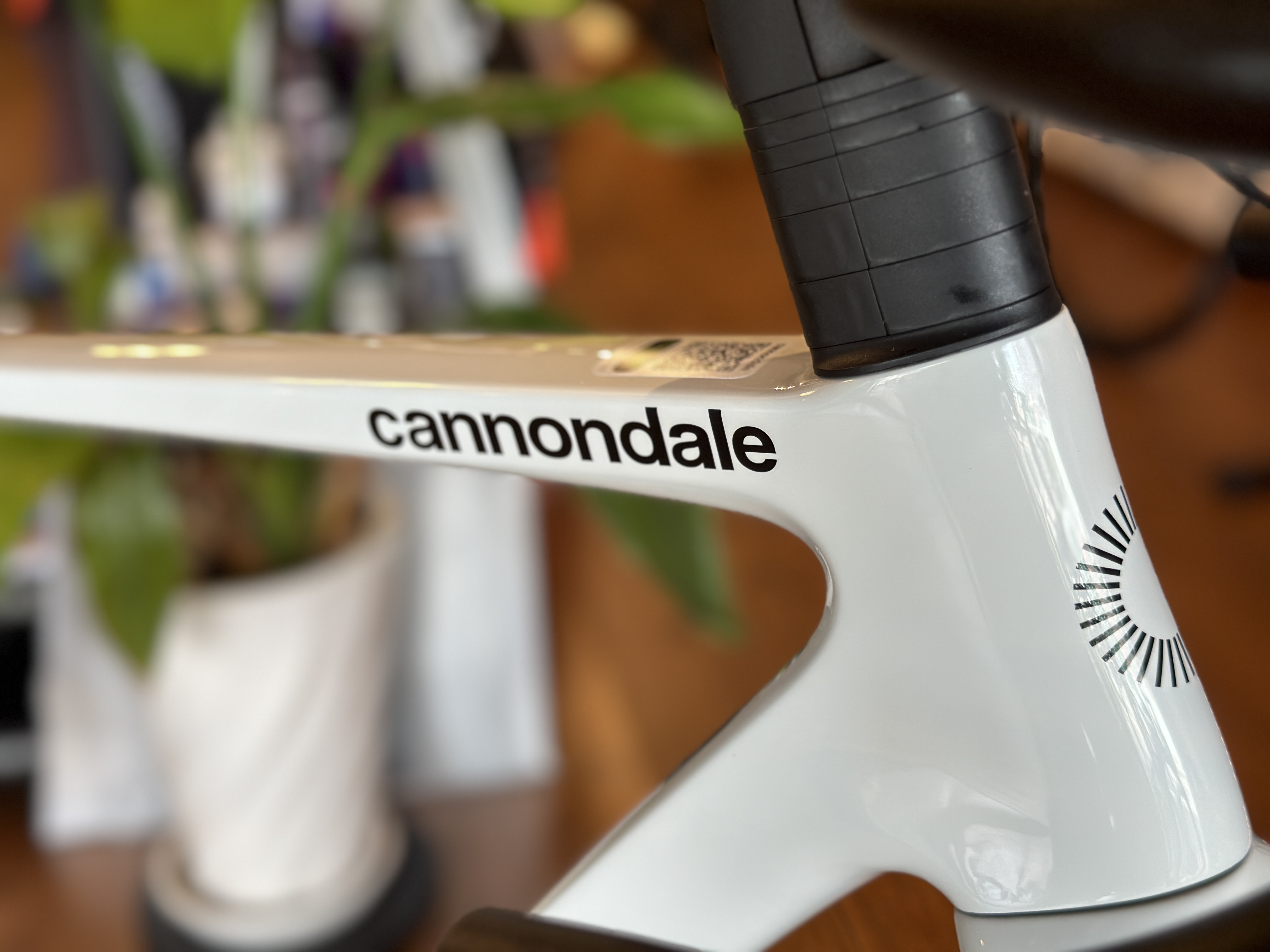 ラストワン！Supersix EVO 3 Chalkカラー | BON VOYAGE BIKES