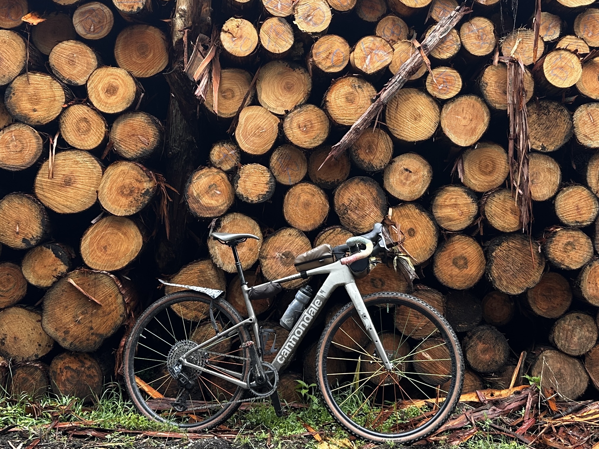 FUJI BIKES JAPAN OFFICIAL SITE – フジ自転車日本公式サイト