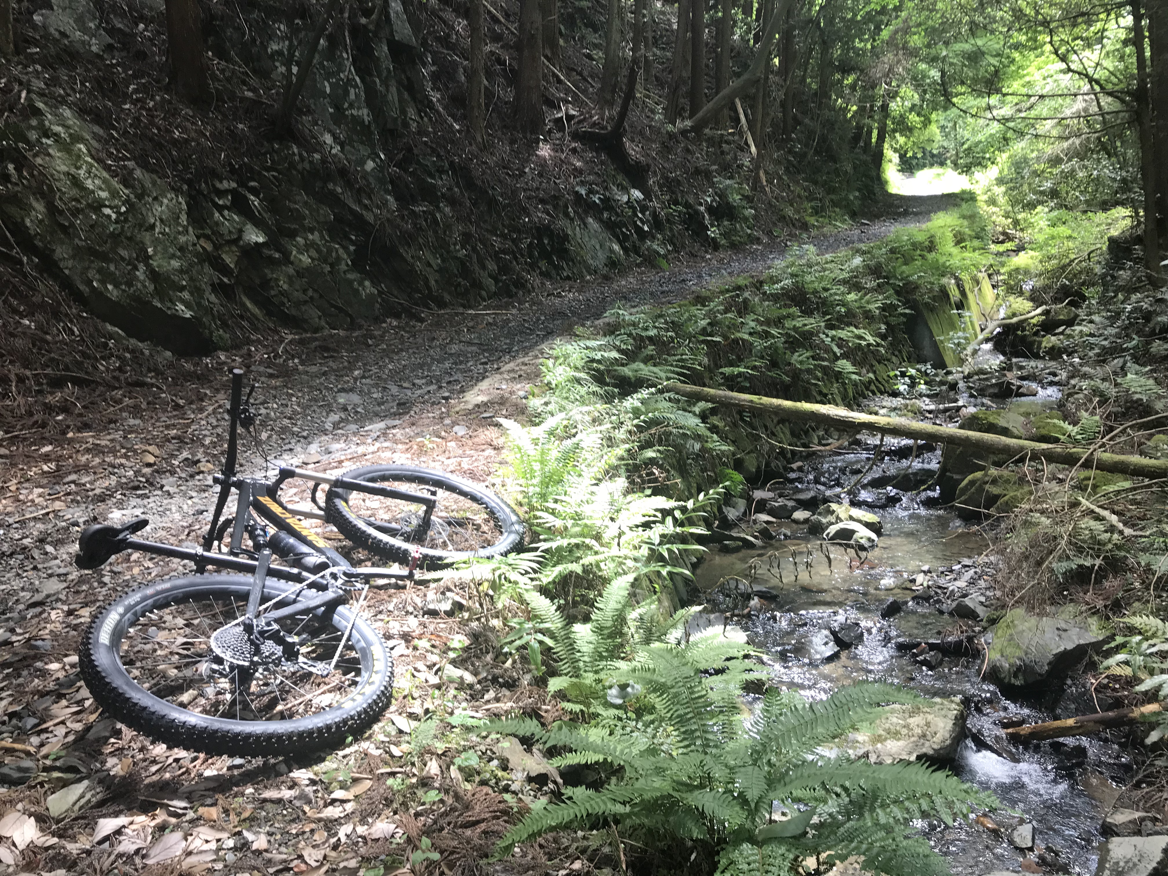 mountain bike touring