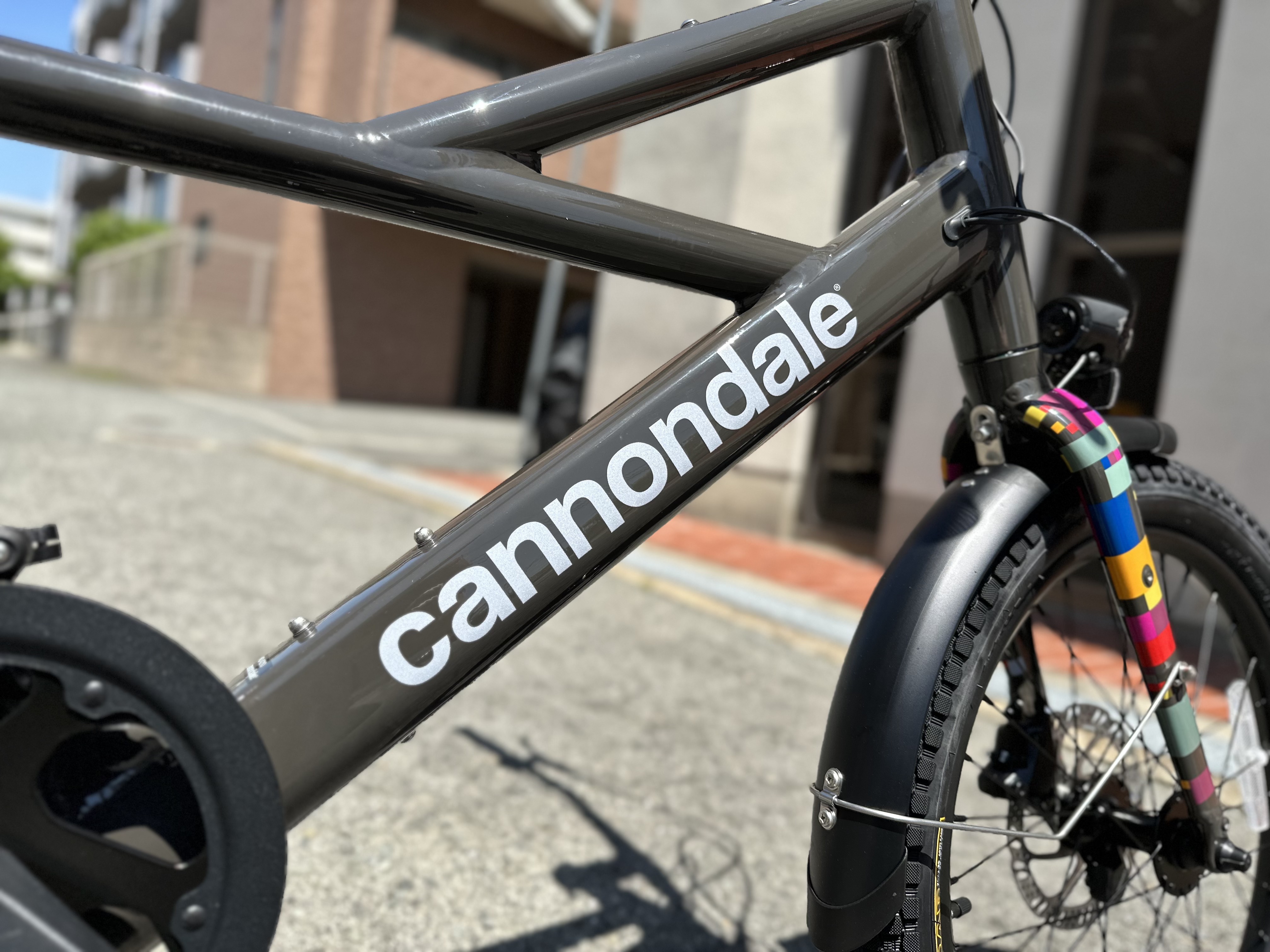 新入荷！Cannondale Compact Neo | BON VOYAGE BIKES 〜アウトドア