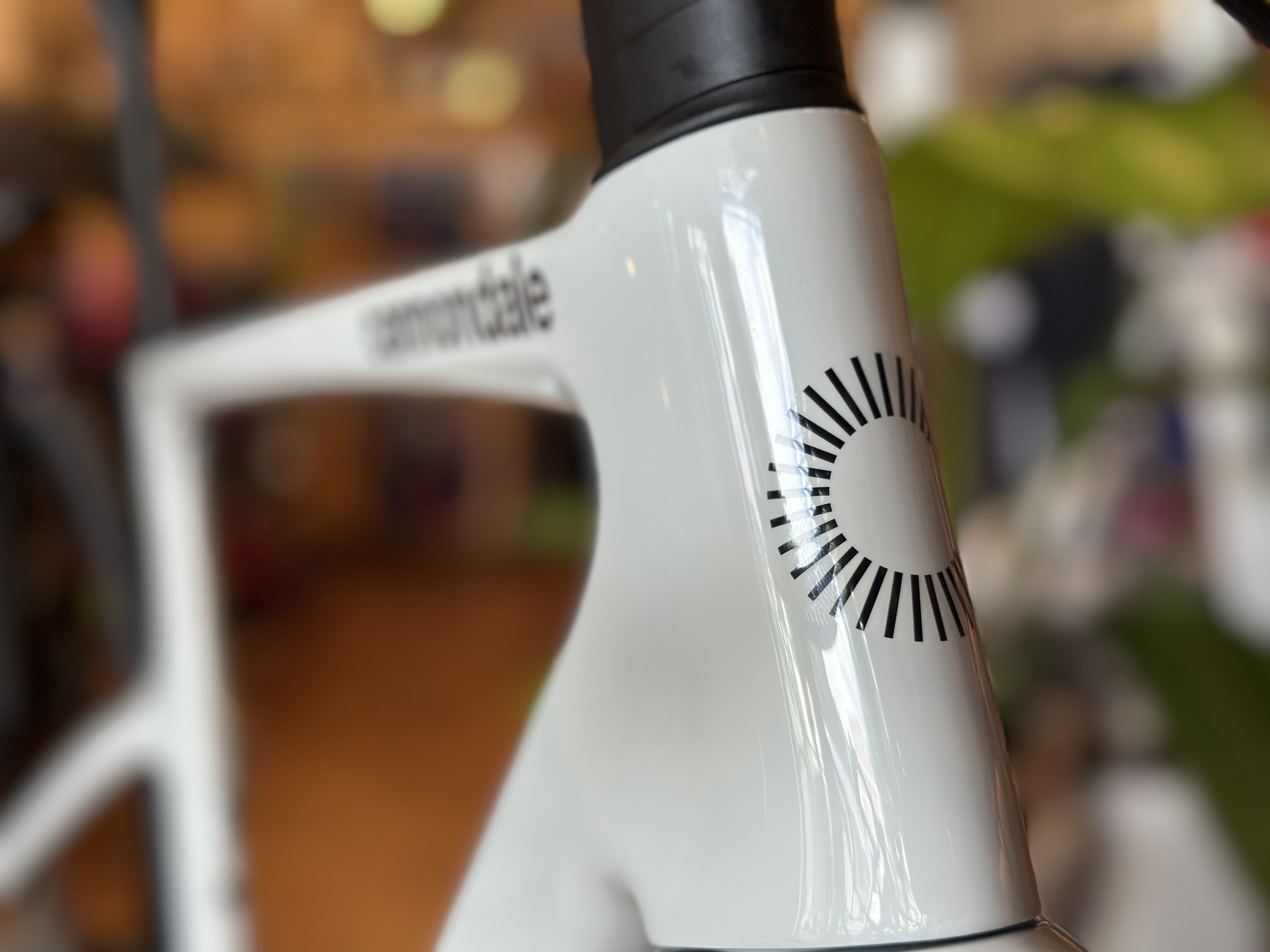 ラストワン！Supersix EVO 3 Chalkカラー | BON VOYAGE BIKES