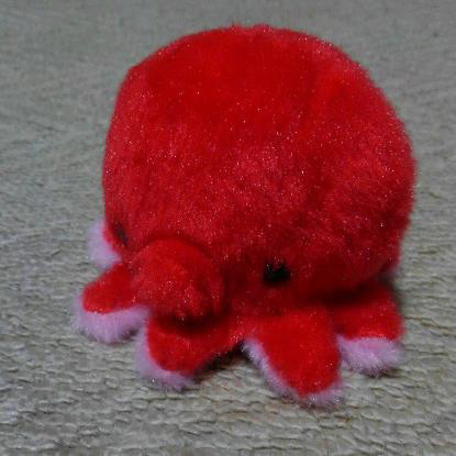 海遊館 タコ お宝情報が満載 高く売れるもの一覧 レアレポ Com