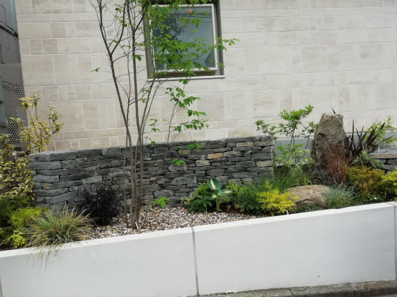 施工例 石と植栽のロックガーデン 戸建の庭 緑地管理 成城グリーン株式会社