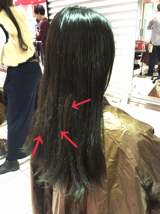 ロングヘアの貴女必見 乾燥した時期に出やすい表面に出てくる ふわふわした毛 の対処法 Smoos Blog