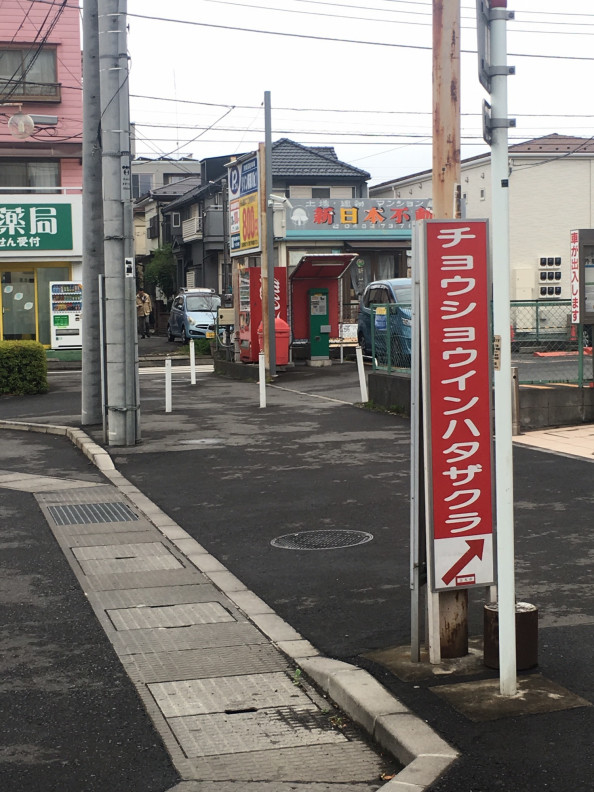 長勝院旗桜へのアクセス しき報