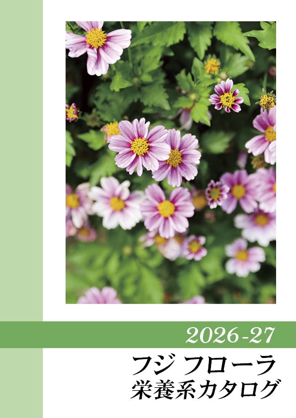 NEW！ | HIJ/Fuji Flora