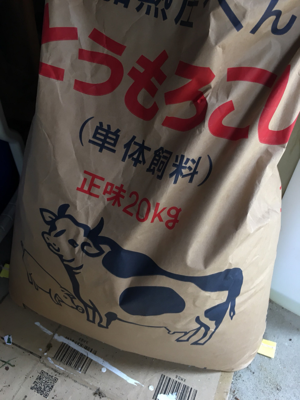 フカセ釣り 撒き餌 コストダウン 知多半島美容師shingo フカセ釣り 撒き餌 コストダウン 知多半島美容師shingo