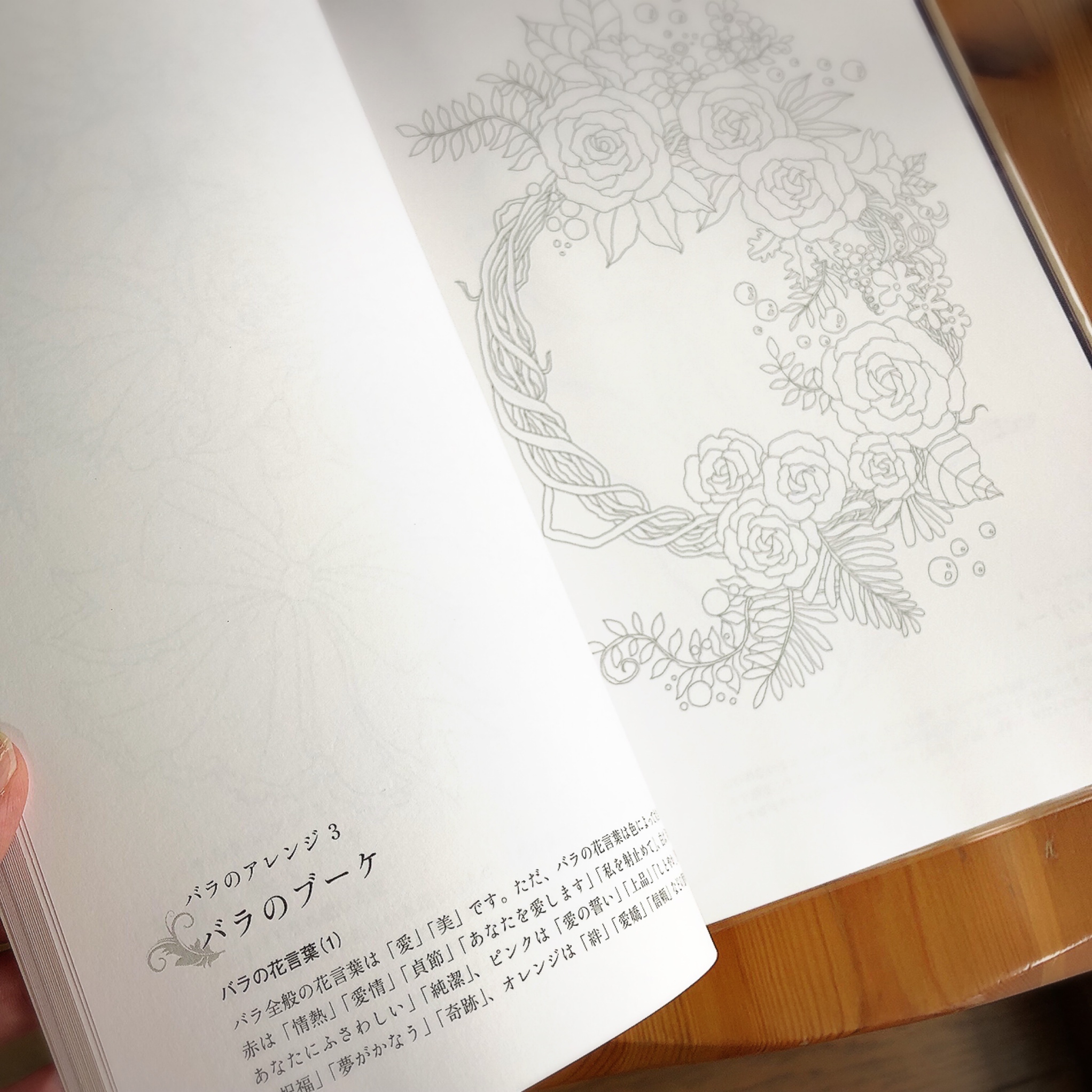 誰でも簡単！ 油絵ぬり絵│宝島社の通販 宝島チャンネル