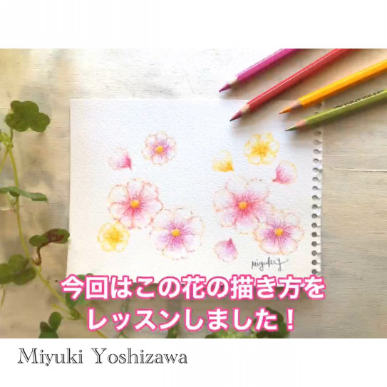 水彩色鉛筆レッスンオンライン展覧会 Miyuki Yoshizawa