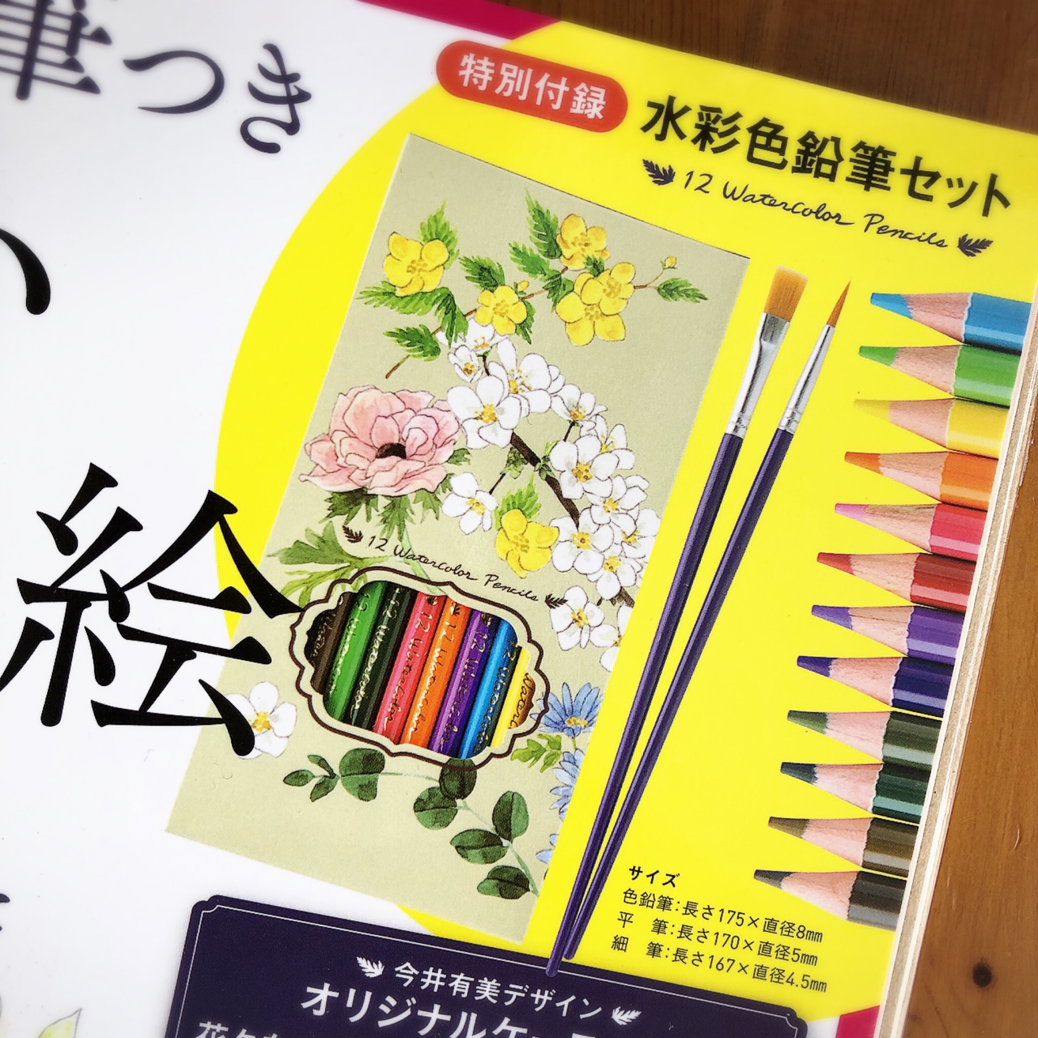 誰でも簡単！ 油絵ぬり絵│宝島社の通販 宝島チャンネル
