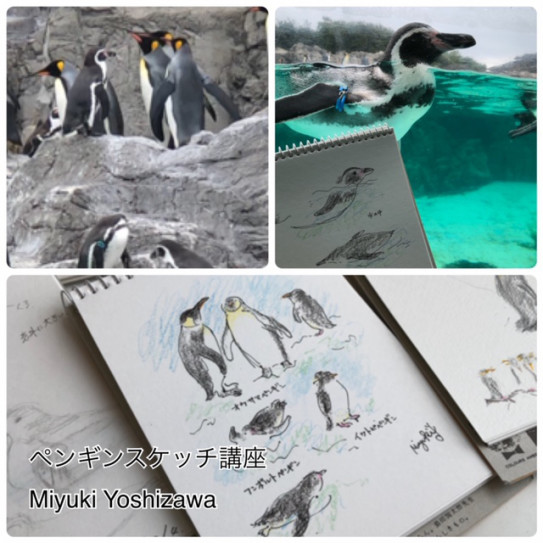 水族館でペンギンスケッチ 新浦安カルチャープラザ Miyuki Yoshizawa