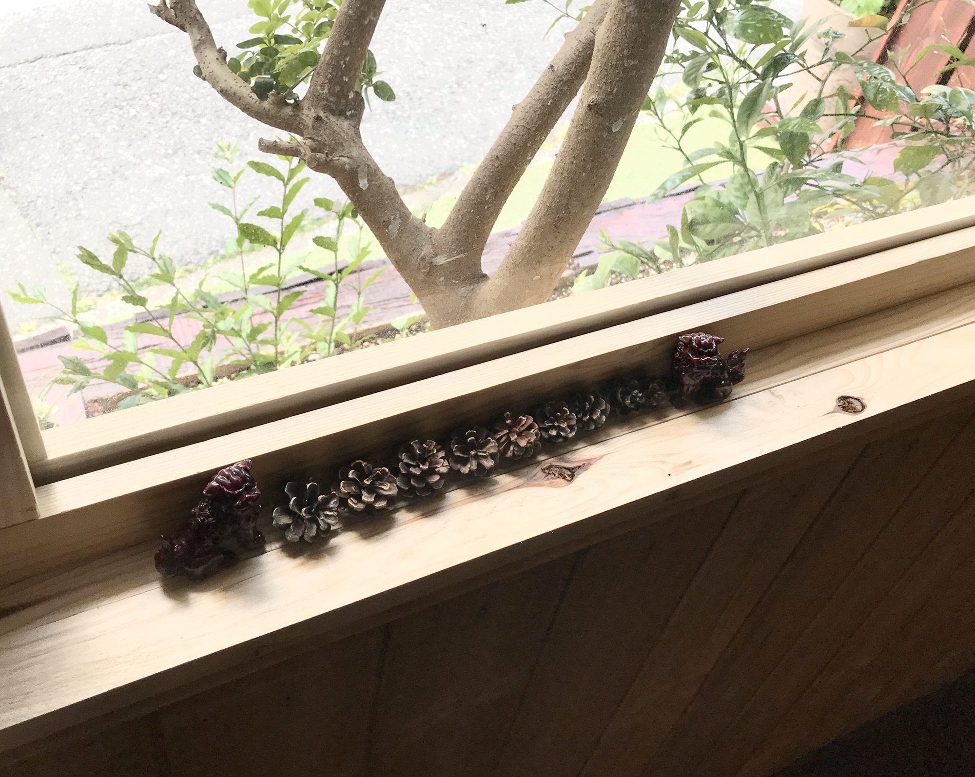 藍花