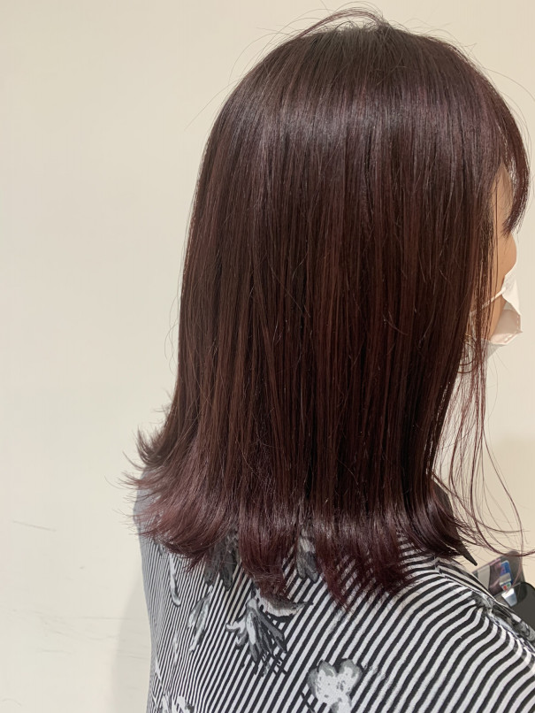 パープルブラウン Buddyhair Frais スタッフblog