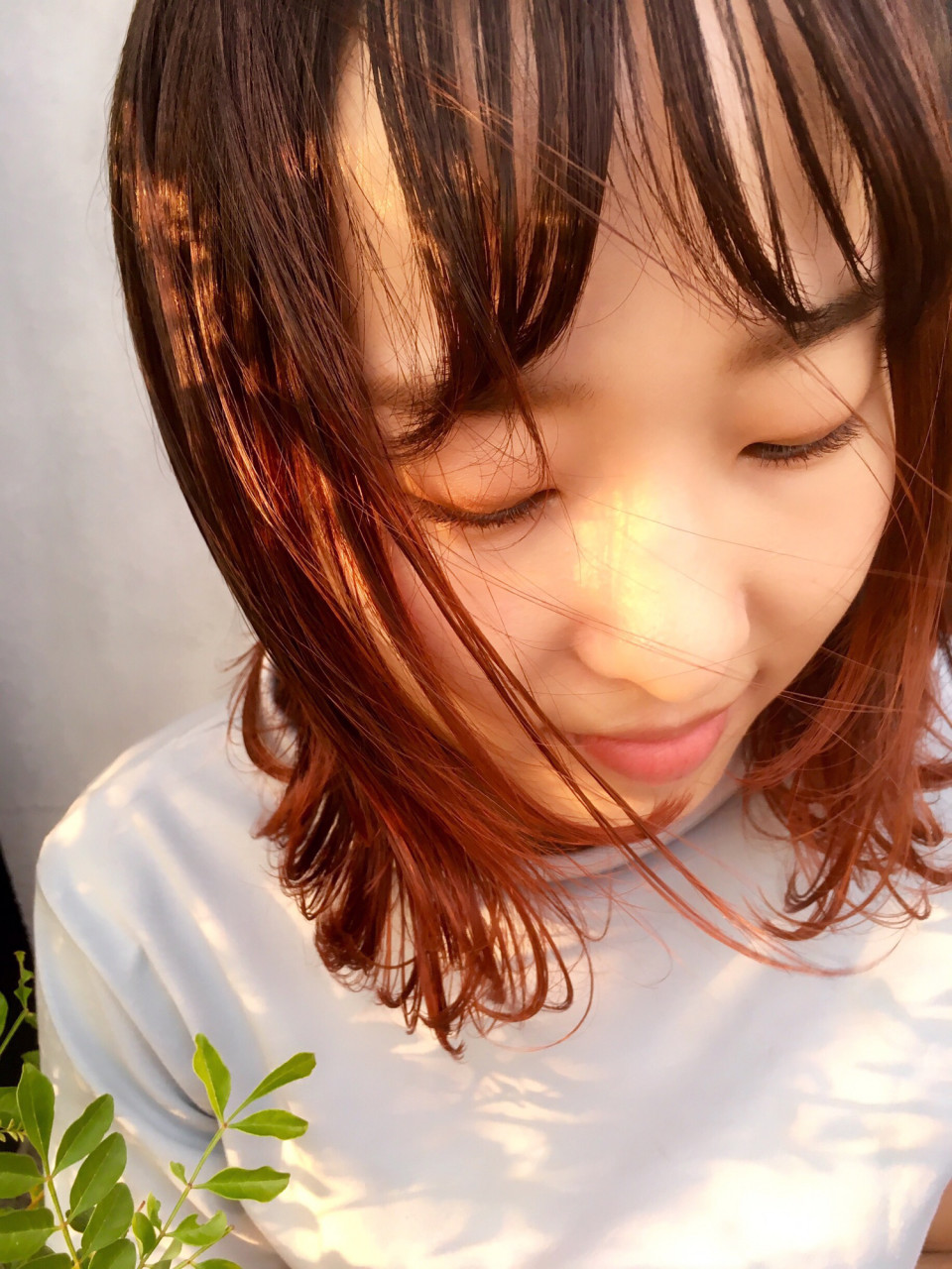 テラコッタカラー Buddyhair Frais スタッフblog