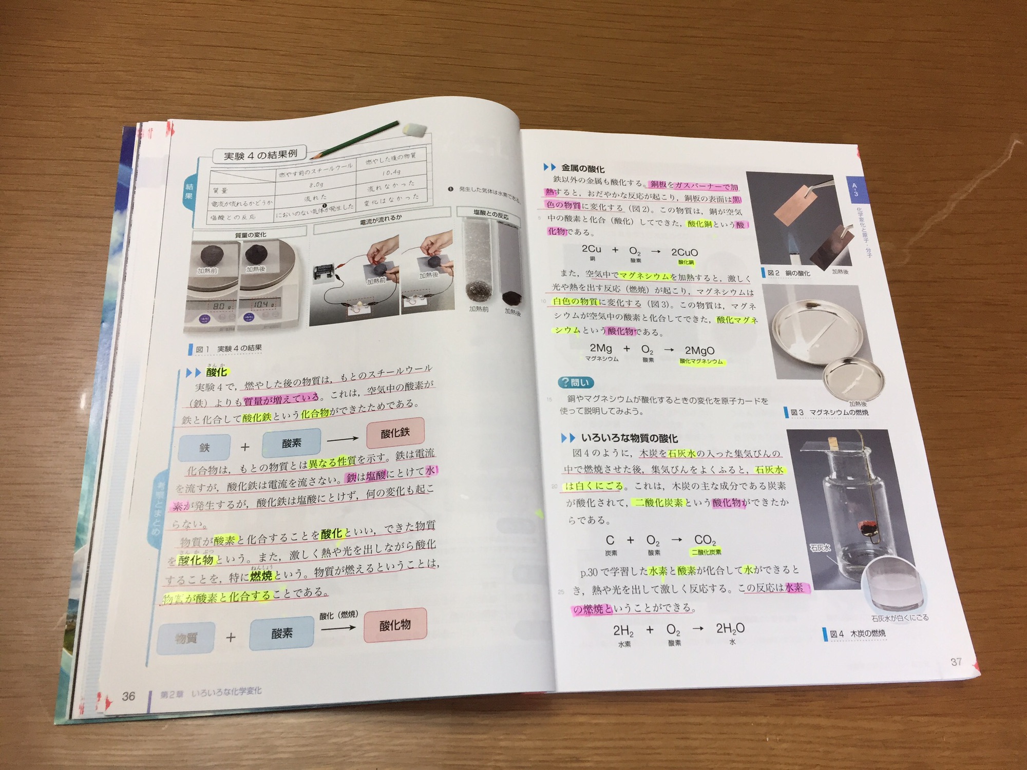 【マーカー線あり】保育関連 教科書 36b7099854f4a74bc854d5e703dc95