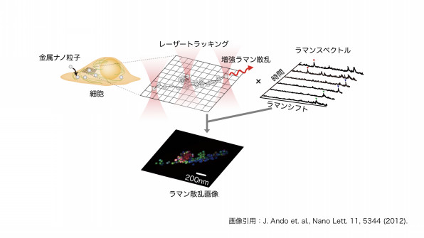 セレンディップ研究所 ameba ownd