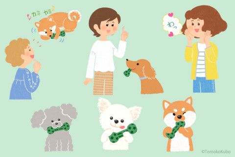 動物 Tomoko Kubo S Website