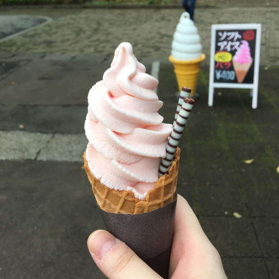 深大寺と神代植物公園の散策 Tomoko Kubo S Website