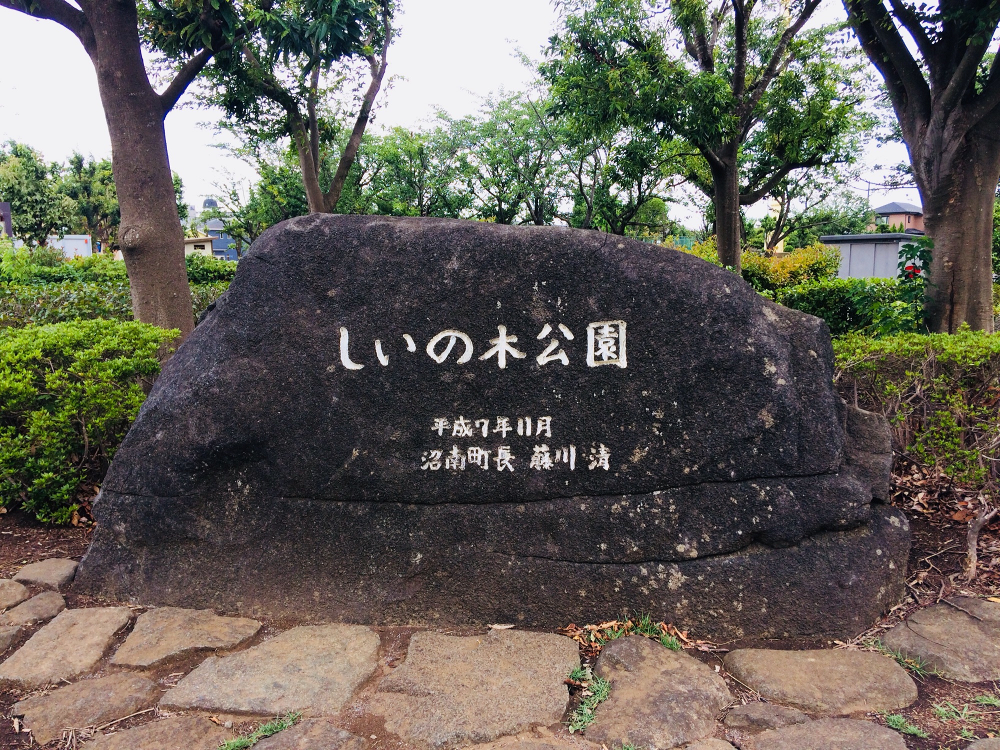 しいの木公園 Needle Garden