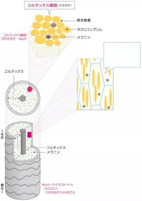 驚くほど強い髪の強度 Jasmine Hair Spa 綾部市の美容室です