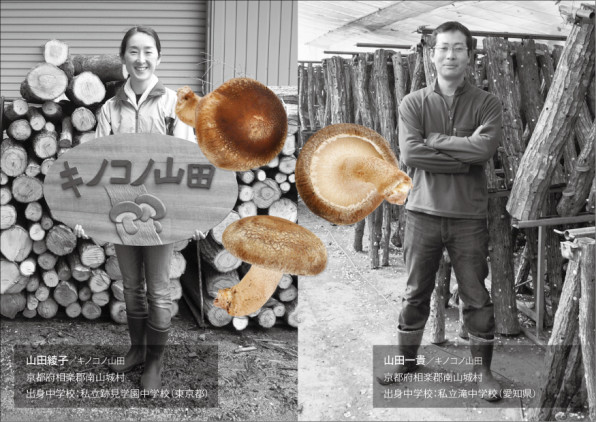 キノコノ山田 京都府のギフト