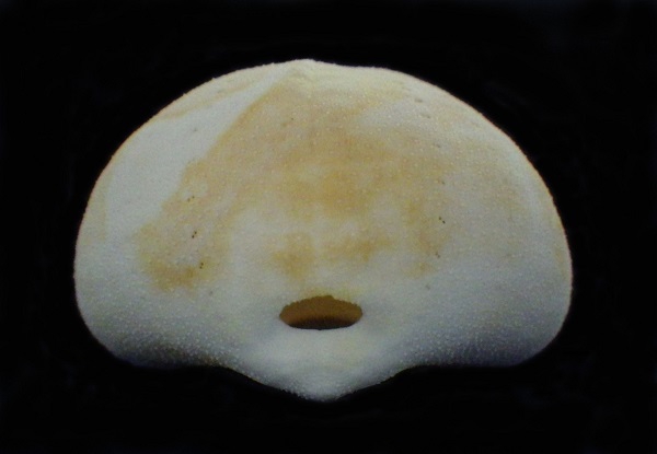 9b6b9cf81c642e0b0e30b066540850