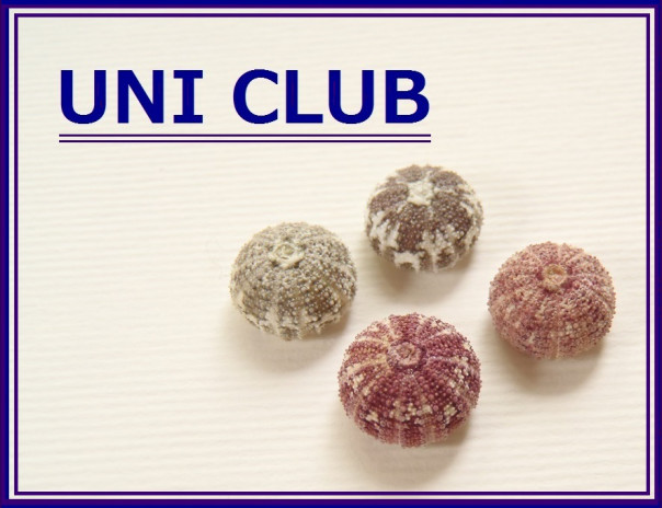 ネズミブンブク | UNI CLUB