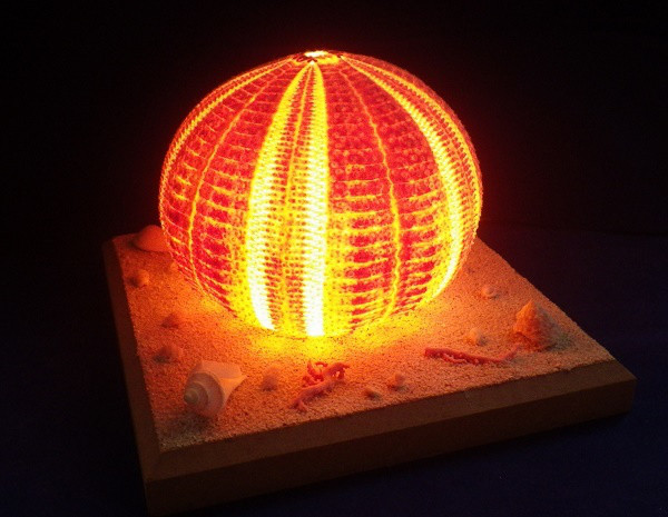 ウニのランプ Uni Club