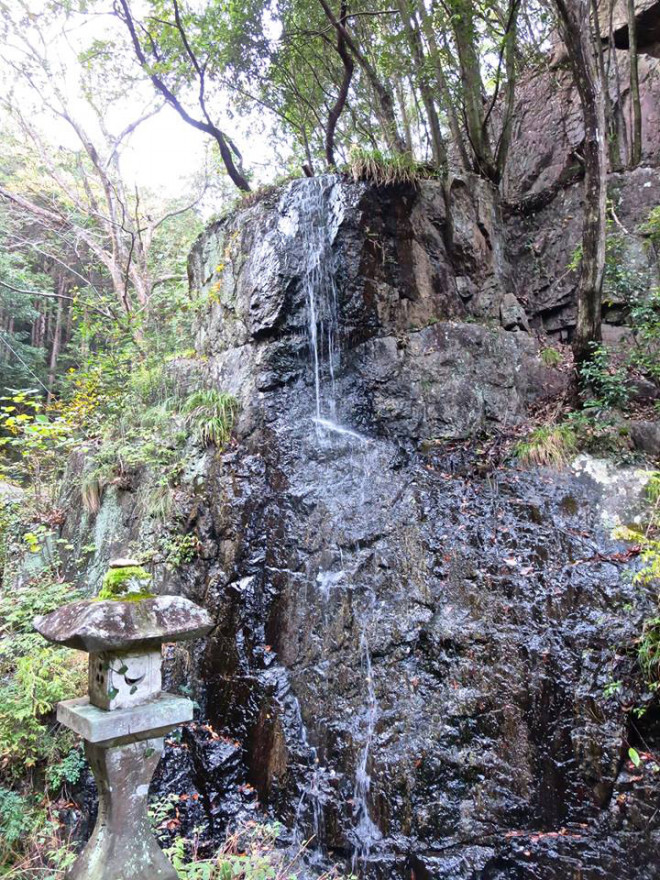 風光る コズミックホリステック医療 俳句療法 風光る コズミックホリステック医療 俳句療法